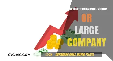 Company Size: Understanding the SME Landscape