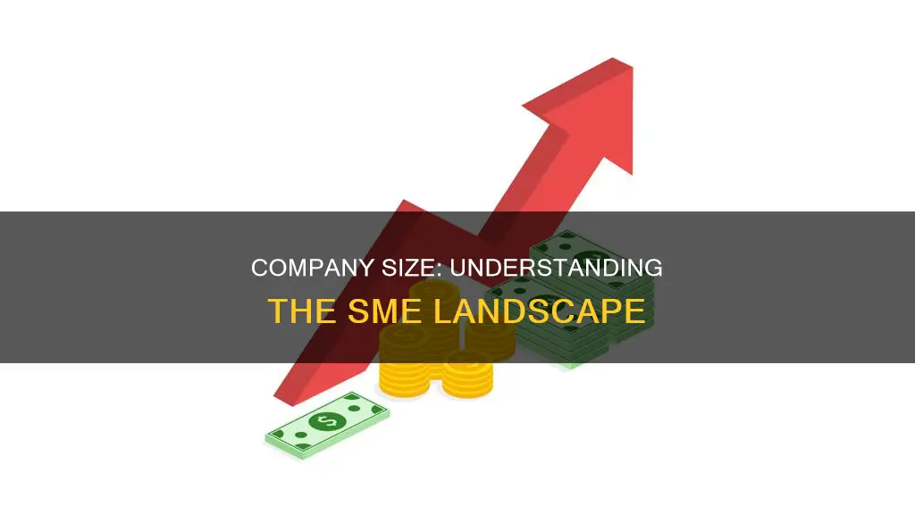 what constitutes a small m edium or large company