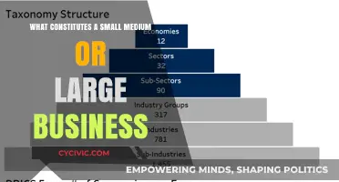 Business Size: What Makes a Company Small, Medium, or Large?