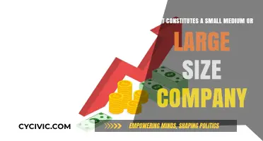 Company Size: What Defines Small, Medium, and Large Businesses?