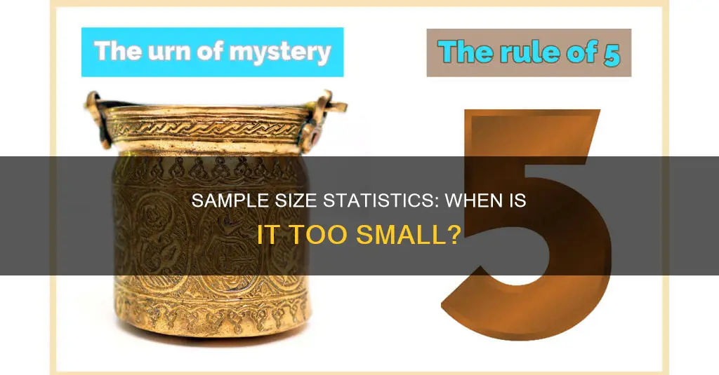 what constitutes a small sample size in statistics