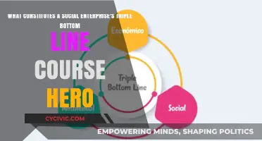 Social Enterprise's Triple Bottom Line: People, Planet, Profit