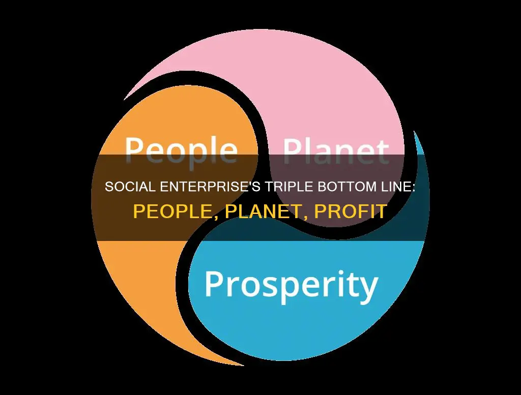 what constitutes a social enterprise
