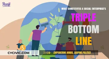 Social Enterprise Success: People, Planet, Profit