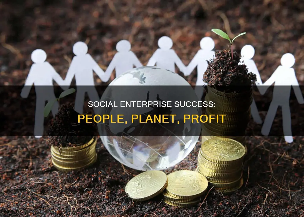 what constitutes a social enterprise