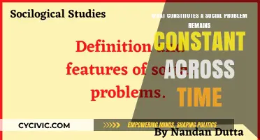 Social Problems: Ever-changing or Static?