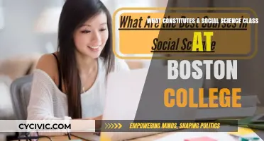 Boston College Social Science Classes: What's Involved?