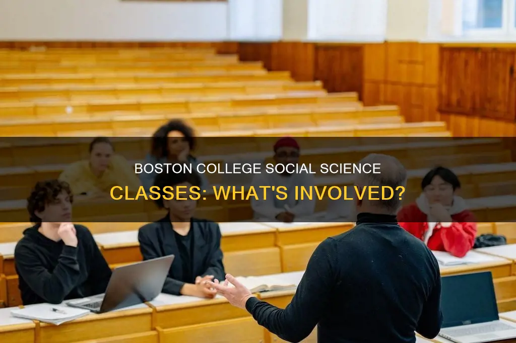 what constitutes a social science class at boston college