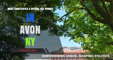 Special Use Permits: Avon, NY's Unique Requirements