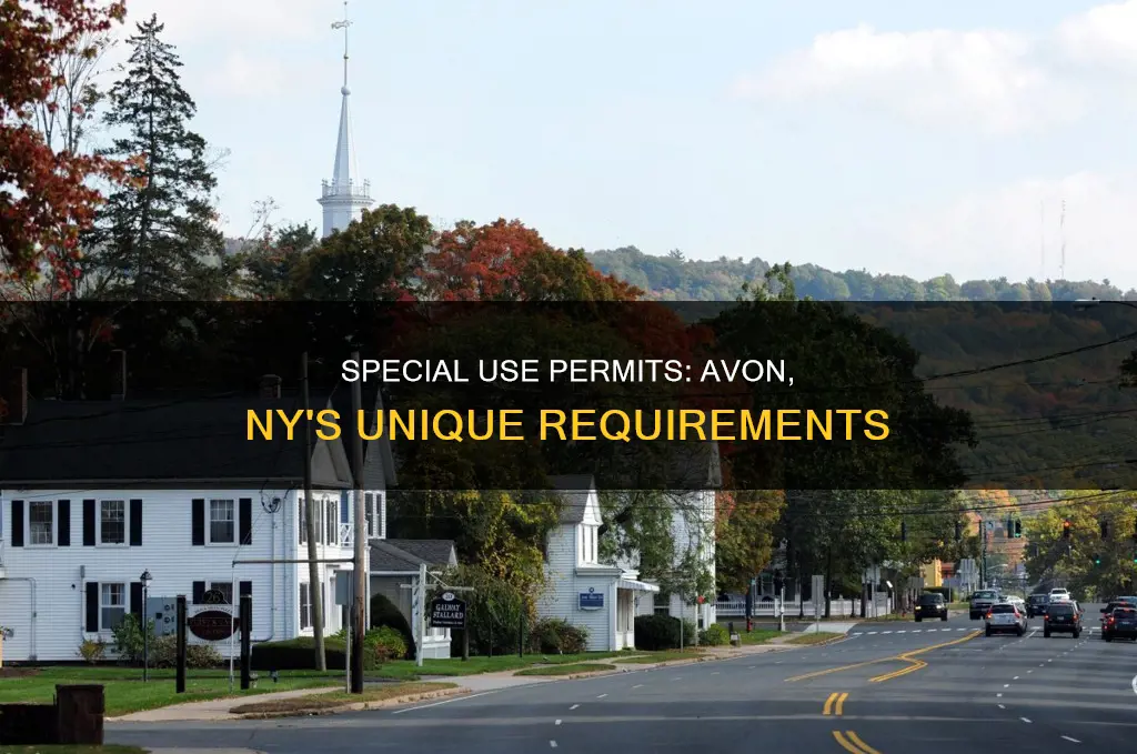 what constitutes a special use permit in avon ny