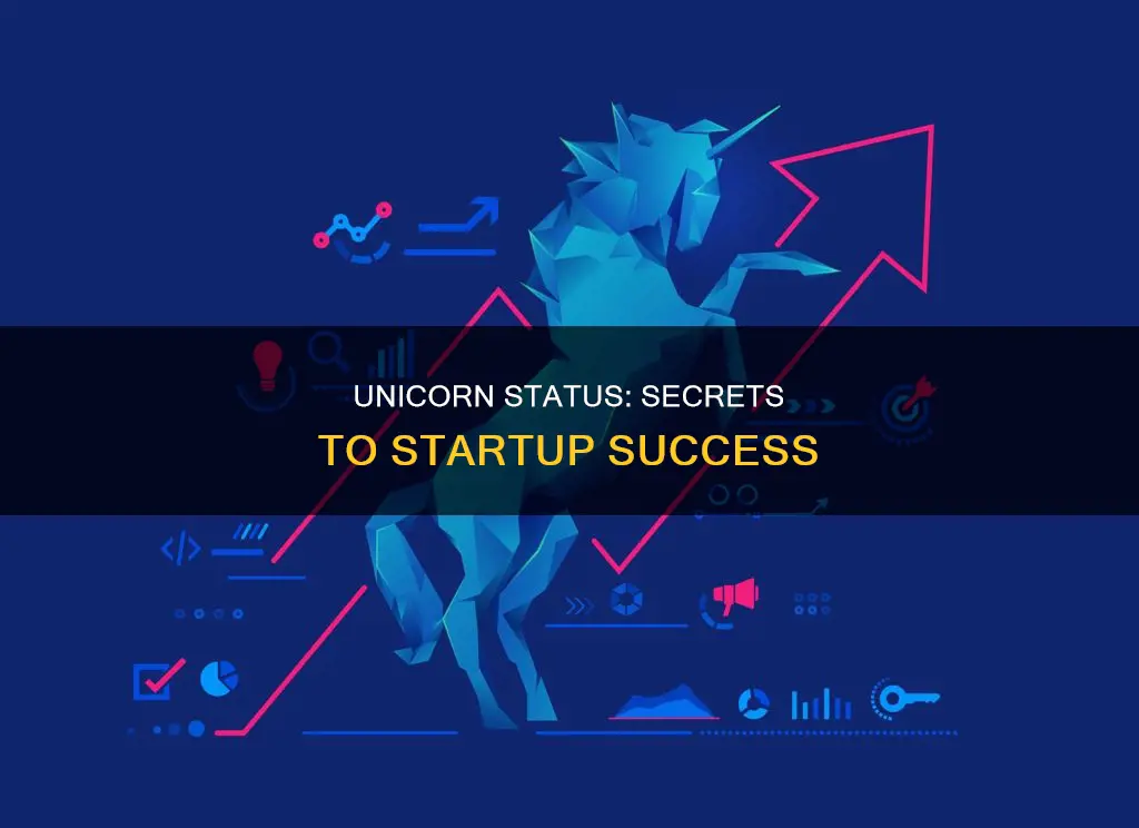 what constitutes a start up to unicorn status