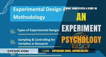 Psychology Experiments: What Makes a Study Valid?