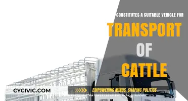 Choosing the Right Vehicle for Cattle Transport