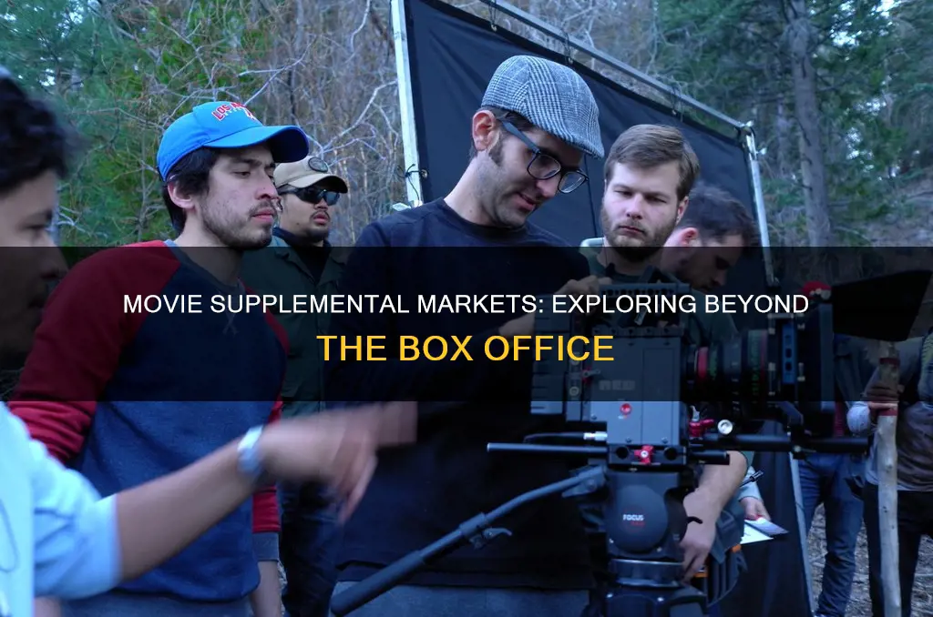what constitutes a supplemental market for a movie