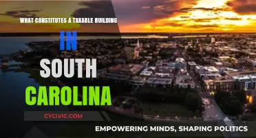 Understanding Taxable Property in South Carolina