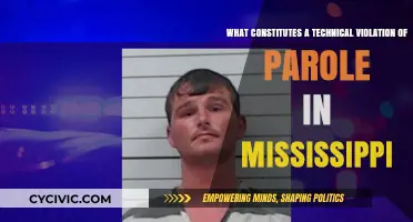 Parole Technical Violations in Mississippi: What's the Deal?