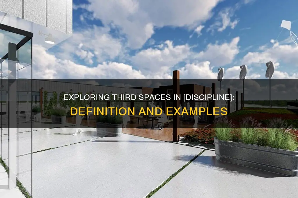 what constitutes a third space in the discipline you teach