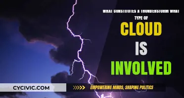 Thunderstorms: Dark Clouds and Loud Noises