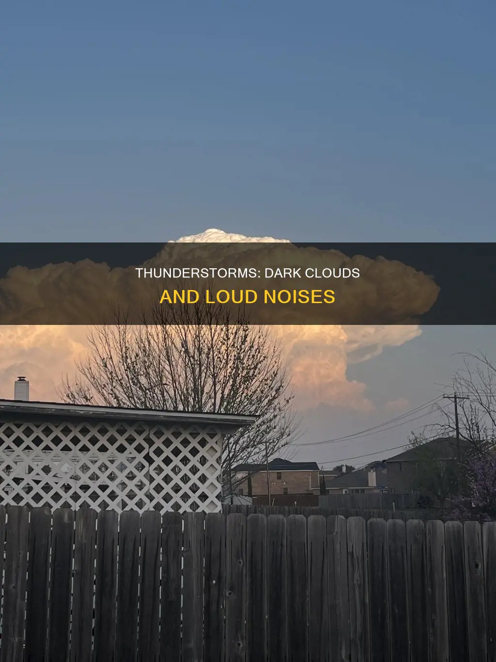 what constitutes a thunderstorm what type of cloud is involved