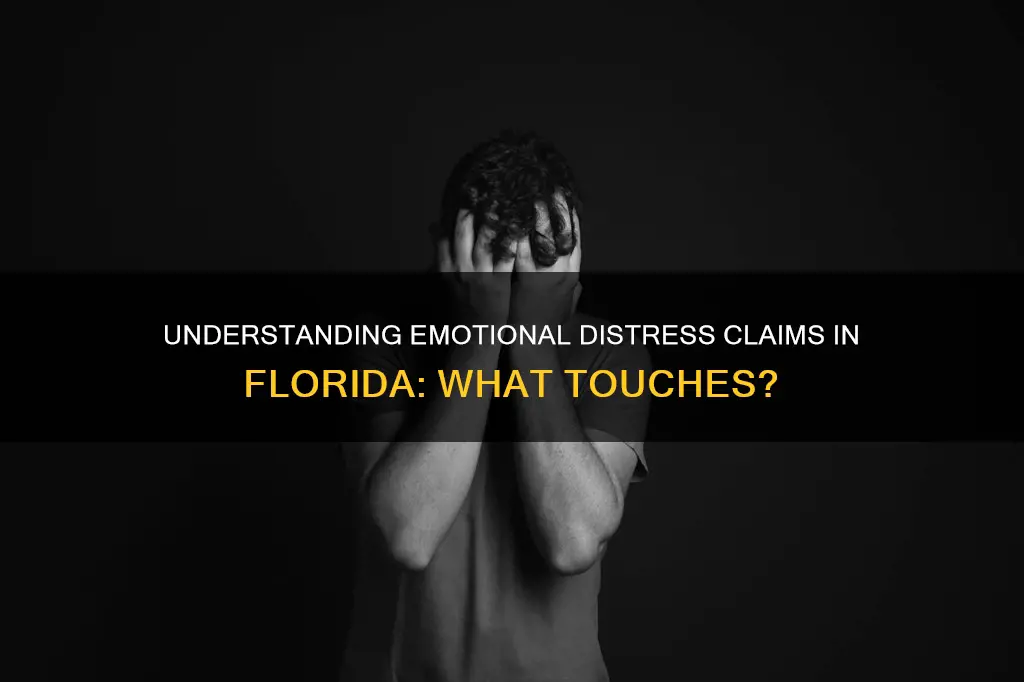 what constitutes a touch in florida emotional distress claims
