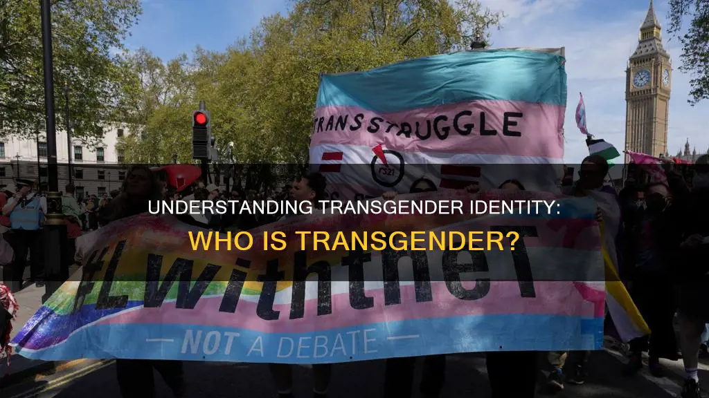what constitutes a transgender when is a person considered transgender