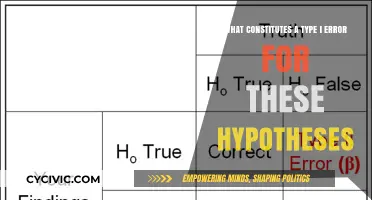 Understanding Type I Errors: Hypothesis Testing Basics