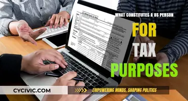 Understanding US Person Status for Tax Purposes