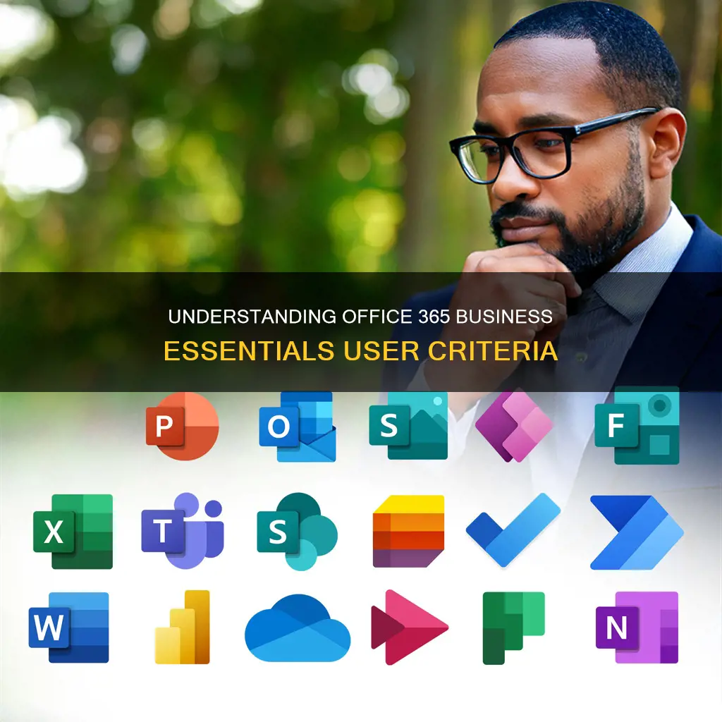 what constitutes a user in office 365 business essentials