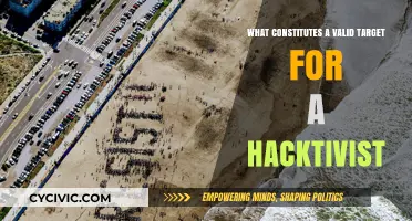 Hacktivism: Choosing Targets for Ethical Hacking