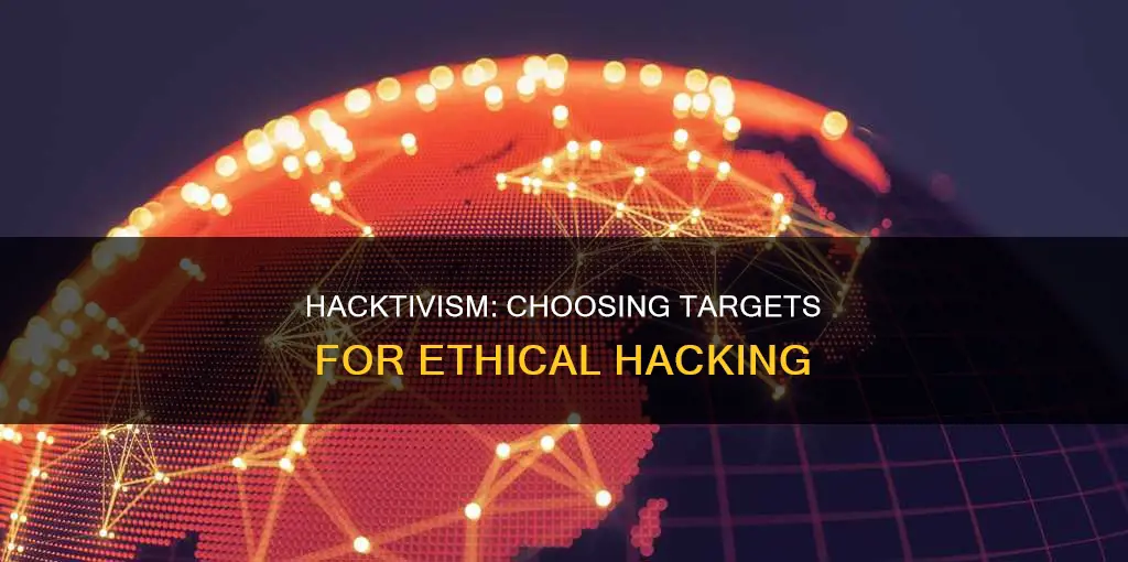 what constitutes a valid target for a hacktivist