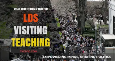 How to Count a Visiting Teaching Visit