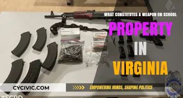 Virginia Schools: Weapons and You