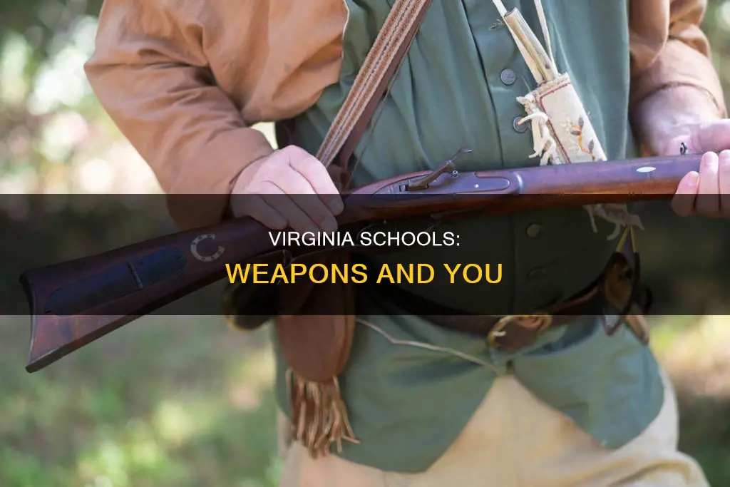 what constitutes a weapon on school property in virginia