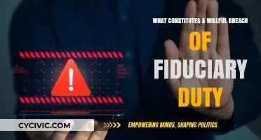 Understanding Willful Breach of Fiduciary Duty