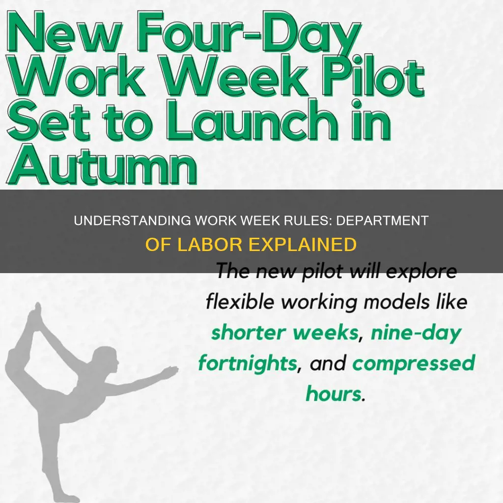 what constitutes a work week under department of labor regulations