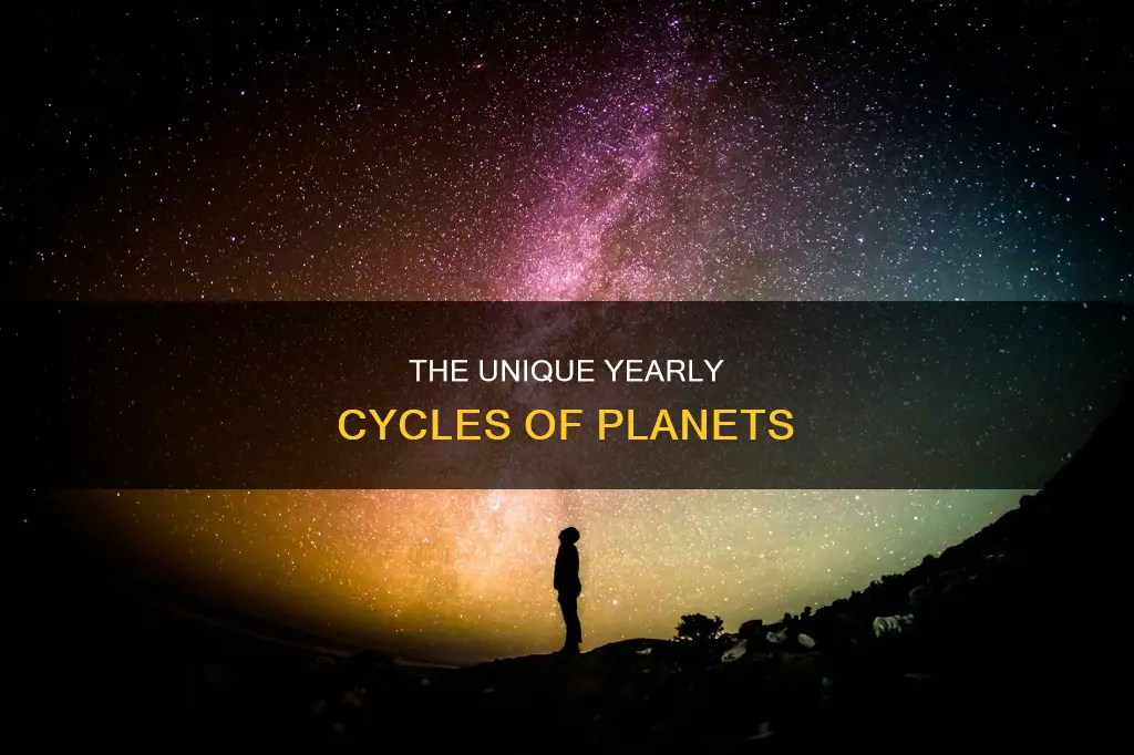 what constitutes a year for any given planet