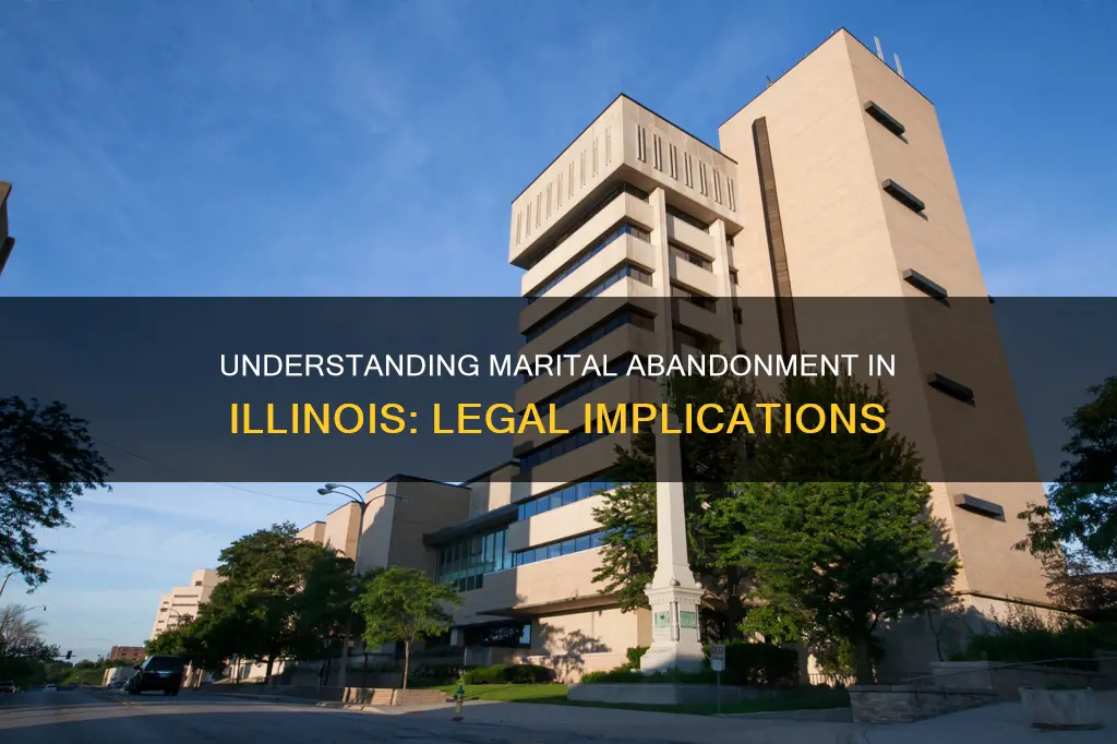 what constitutes abandonment in a marriage in illinois
