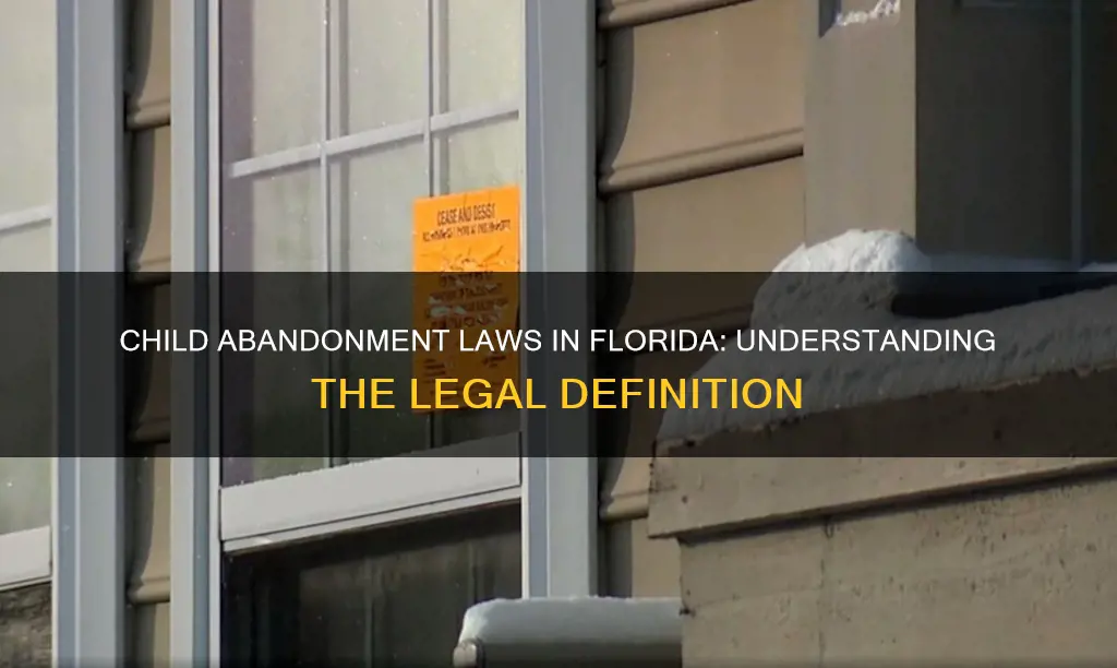 what constitutes abandonment of a child in florida