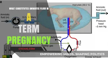 Amniotic Fluid: What's in Term Pregnancy Waters?