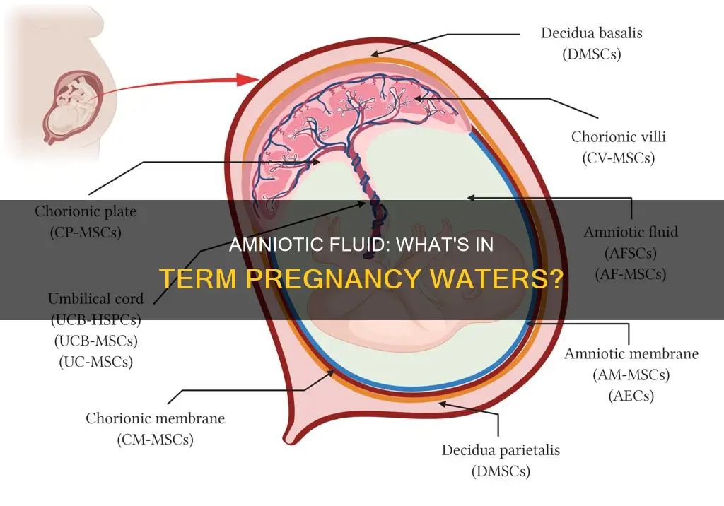 what constitutes amniotic fluid in a term pregnancy