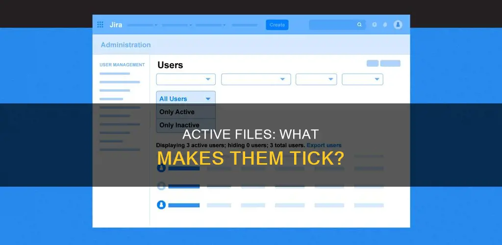 what constitutes an active instead of an inactive file