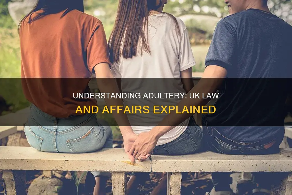 what constitutes an affair legally in the uk