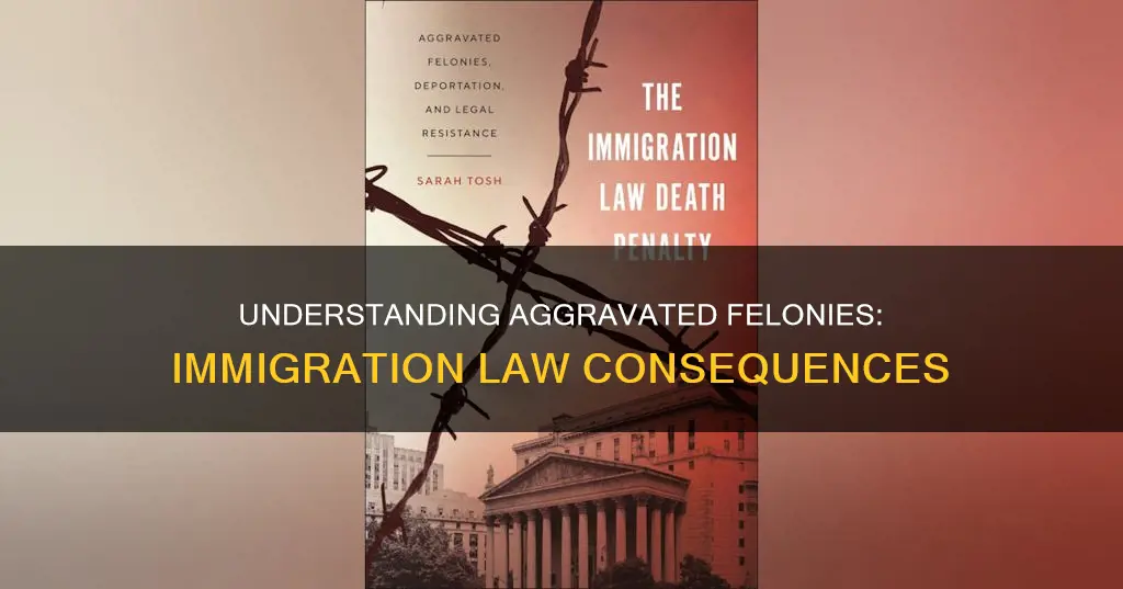 what constitutes an aggravated felony for immigration purposes