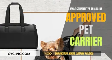 Choosing the Right Airline-Approved Pet Carrier: A Guide