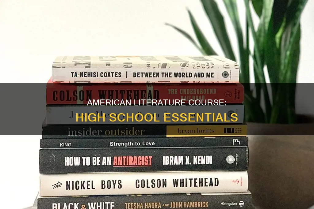 what constitutes an american literature course high school