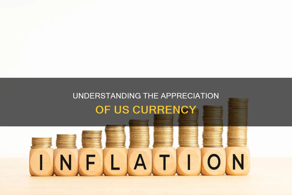 what constitutes an appreciation of the us currency