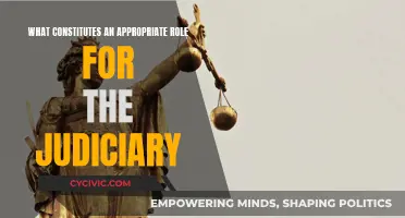 Judiciary's Role: Exploring Boundaries and Responsibilities