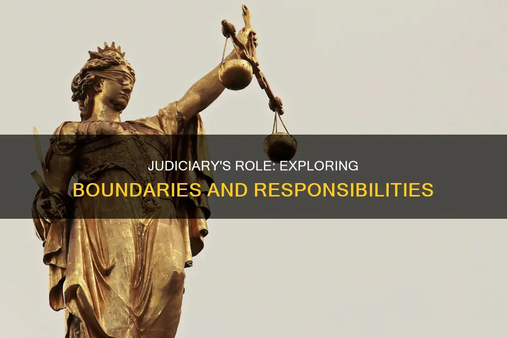 what constitutes an appropriate role for the judiciary