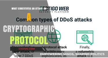 Protecting Cryptographic Protocols: Understanding Attacks and Their Nature