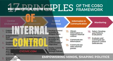 Internal Control System: Key Components for Success